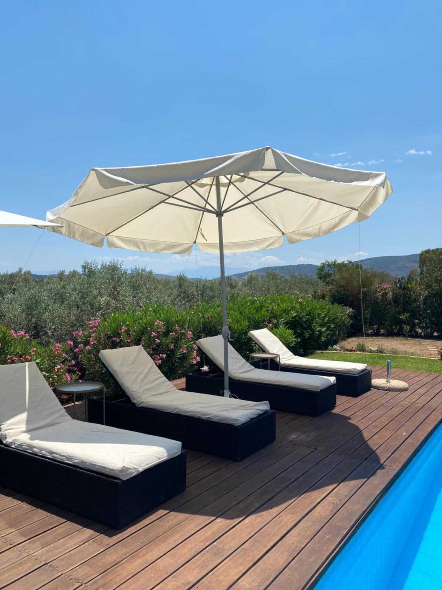 Georges Villa Galaxidi, Family, Pool And Garden Esterno foto