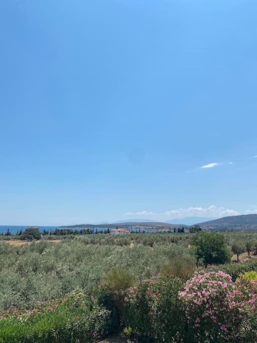 Georges Villa Galaxidi, Family, Pool And Garden Esterno foto