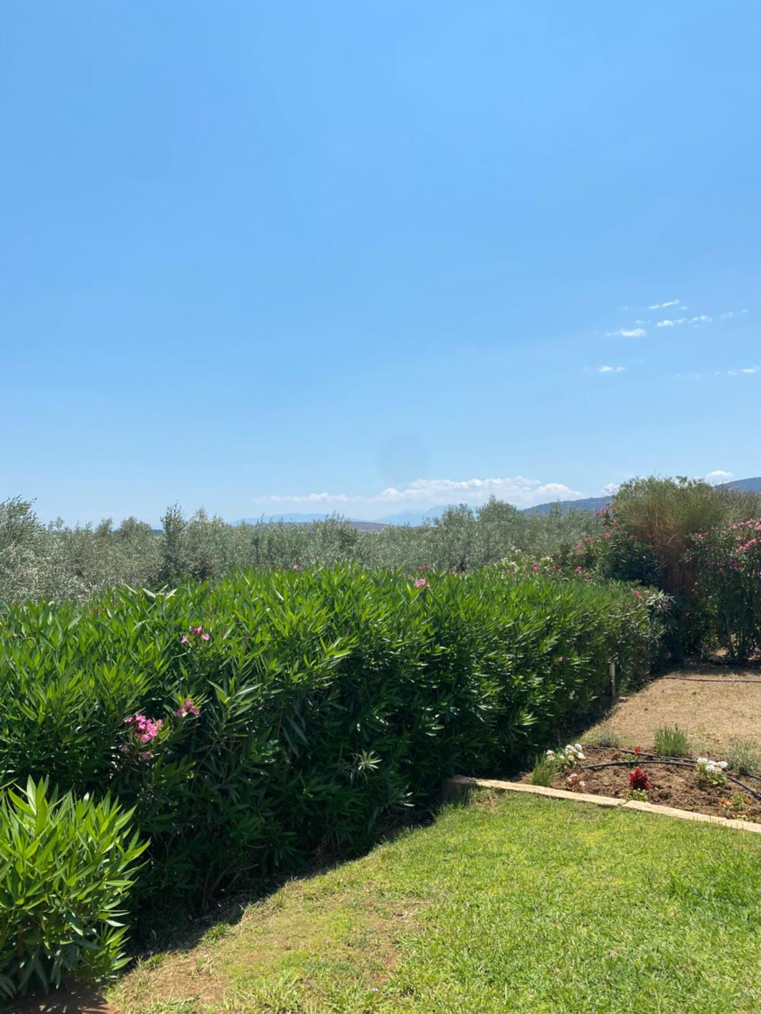 Georges Villa Galaxidi, Family, Pool And Garden Esterno foto
