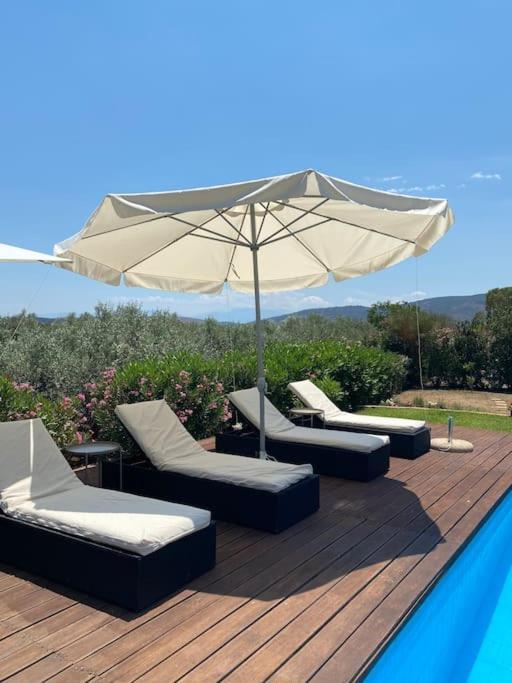 Georges Villa Galaxidi, Family, Pool And Garden Esterno foto