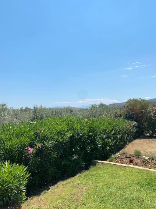 Georges Villa Galaxidi, Family, Pool And Garden Esterno foto