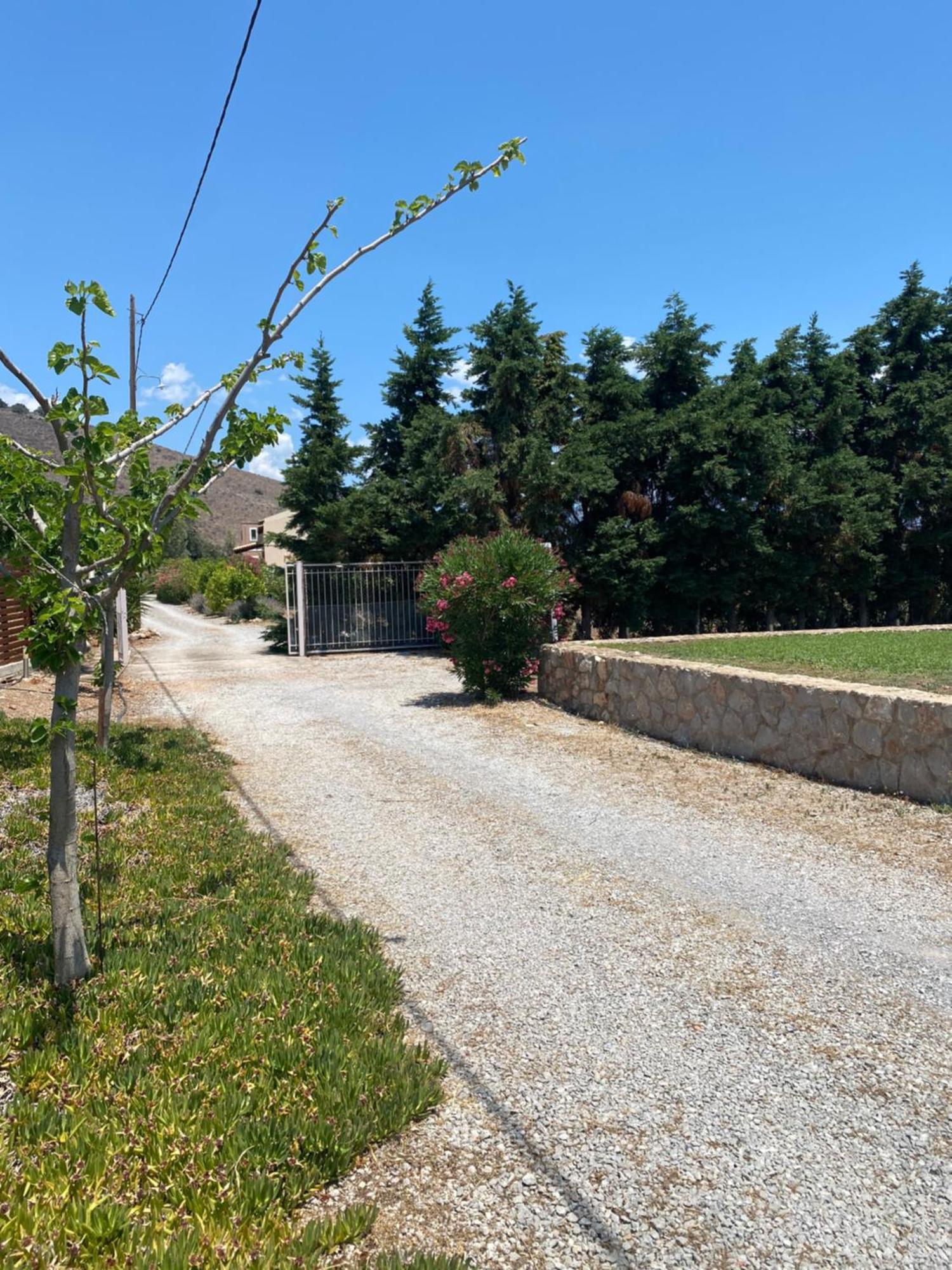 Georges Villa Galaxidi, Family, Pool And Garden Esterno foto